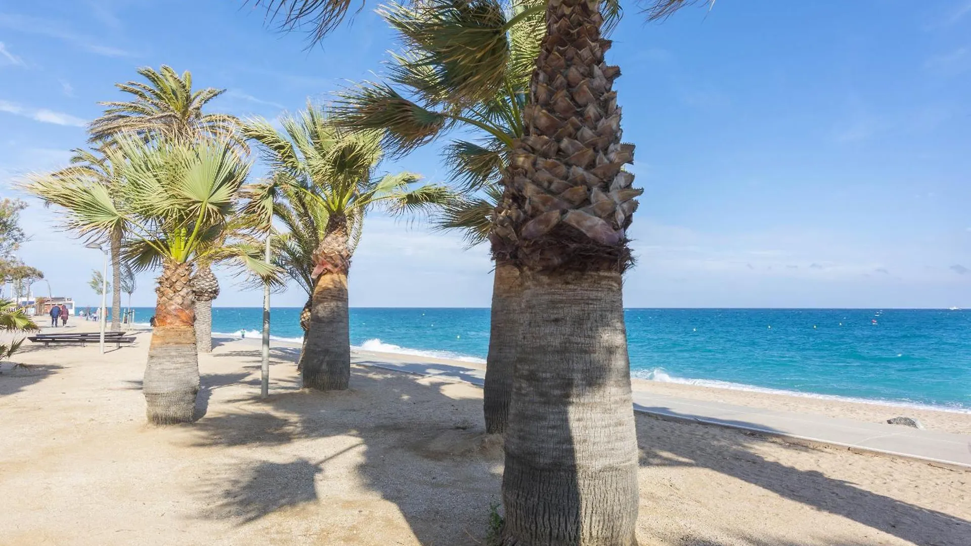 Apartment Homeholidaysrentals Kala - Costa Barcelona Pineda de Mar