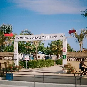 Sènia Caballo De Mar Camping